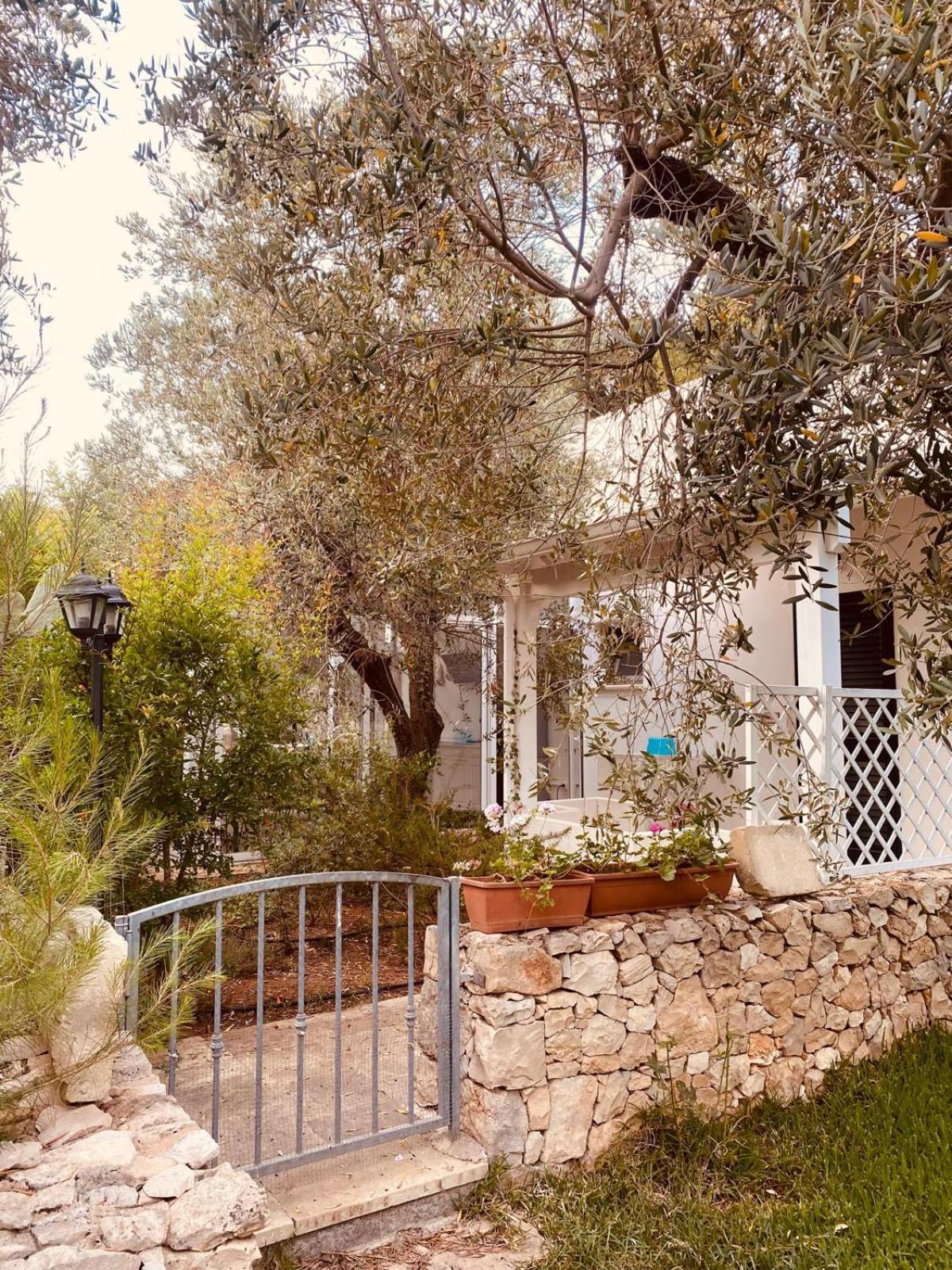 B&B Quasimare Porto Cesareo Exteriör bild