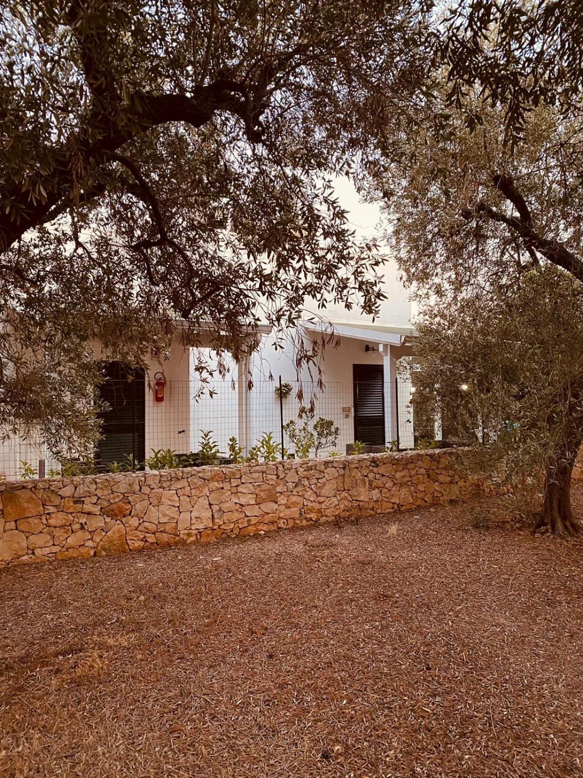 B&B Quasimare Porto Cesareo Exteriör bild
